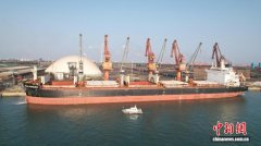 为春耕增“肥”力 广西海事部门保障3万吨进口钾肥高效落地