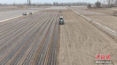 甘肃临泽春耕节水从“大水漫灌”到“滴水无声”